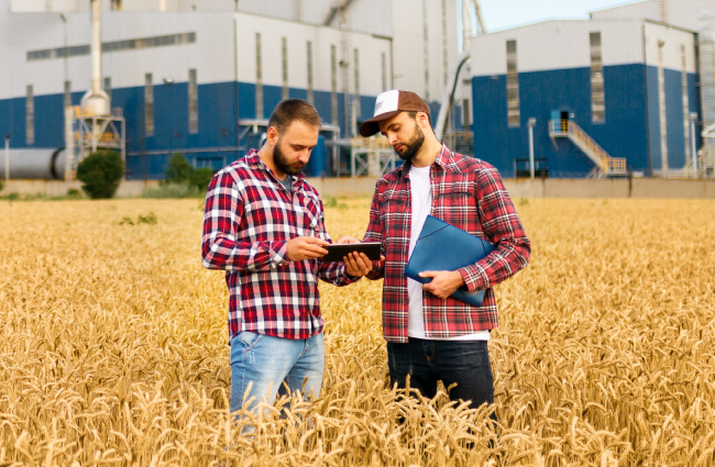 Consultoria Especializada