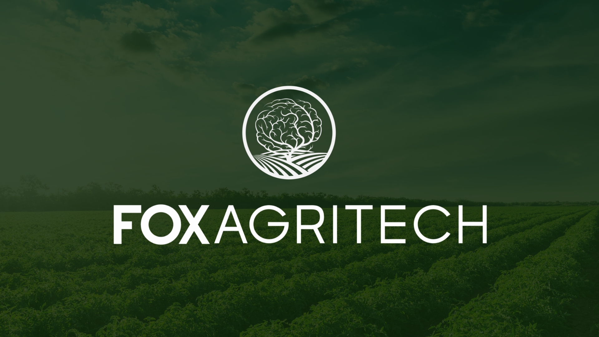 Fox Agritech - Tecnologia Agrícola
